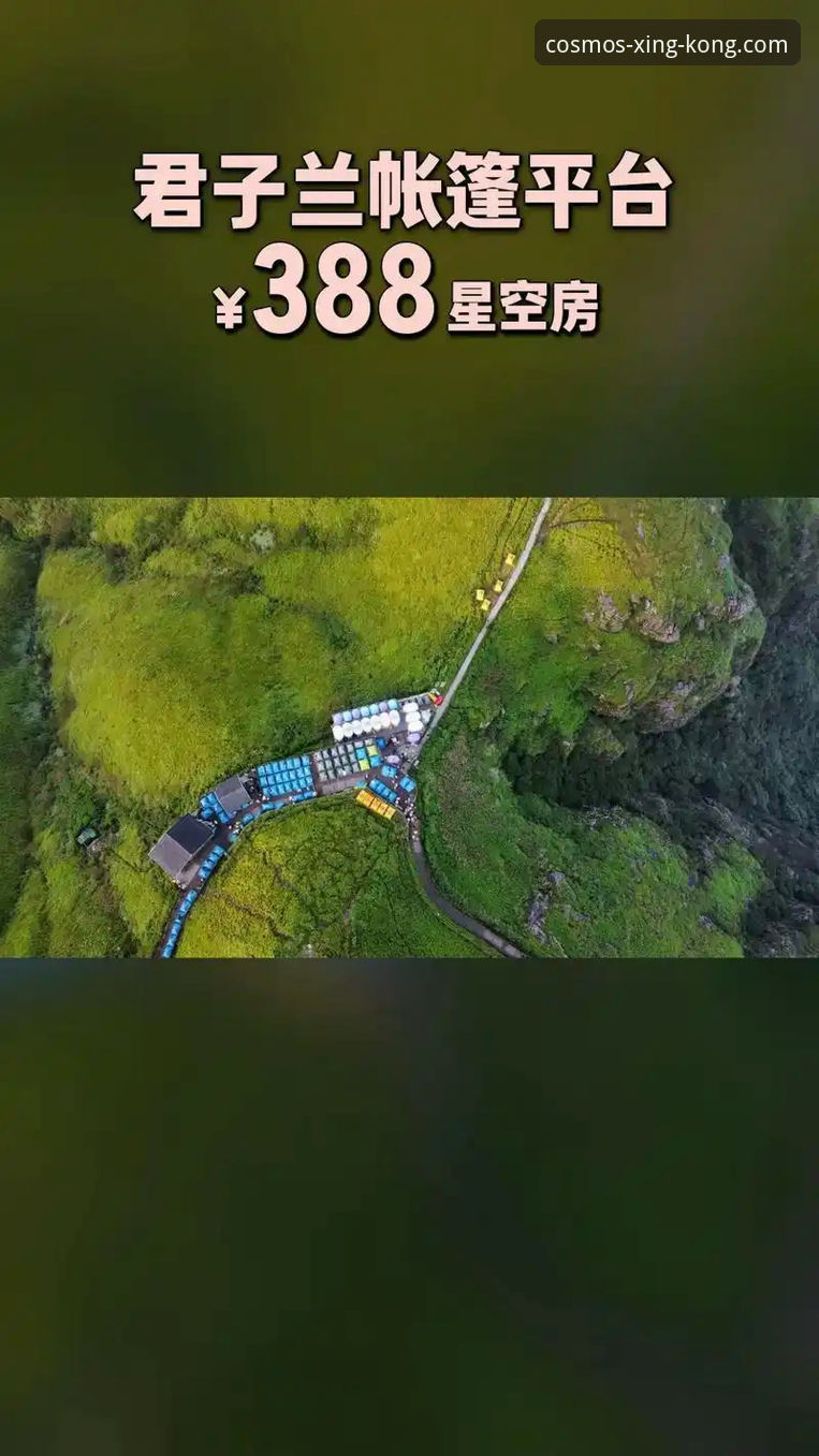 星空互动玩法怎么样？亚洲直营平台能否满足玩家多元化需求？